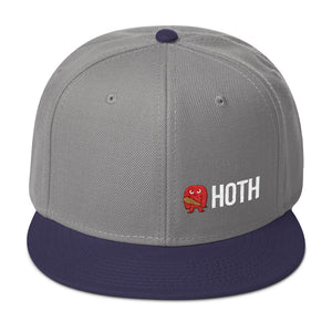 HOTH Snapback Hat